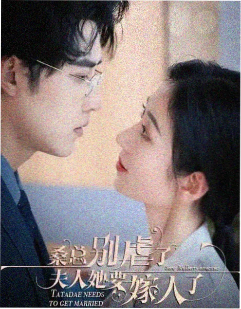家有儿媳妇 腾讯视频短剧封面