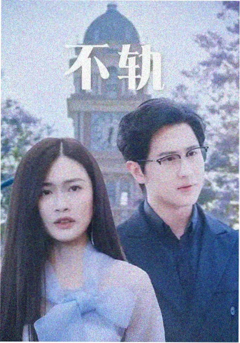 儿媳妇的秘密账本小说封面